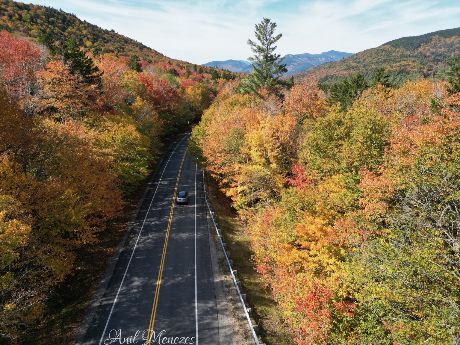 Road Through Fall
