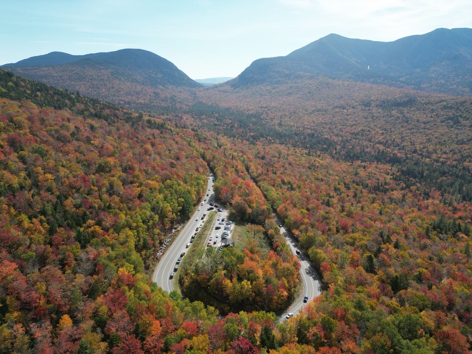 Autumn Hairpin